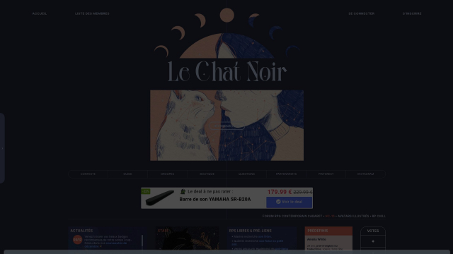 Le Chat Noir
