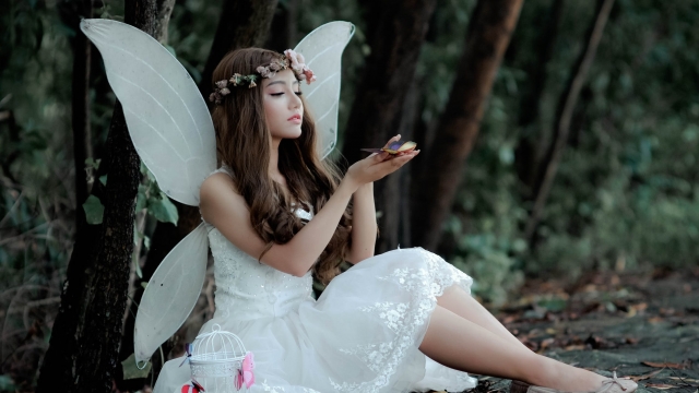 fantasy fantasy