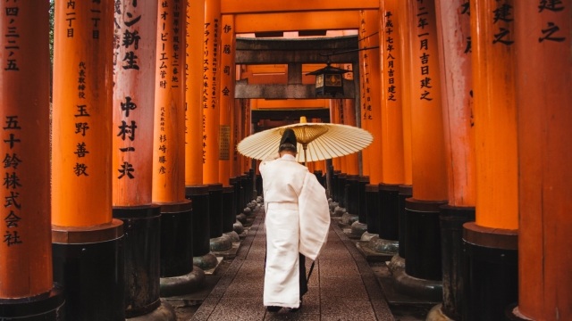 japon japon